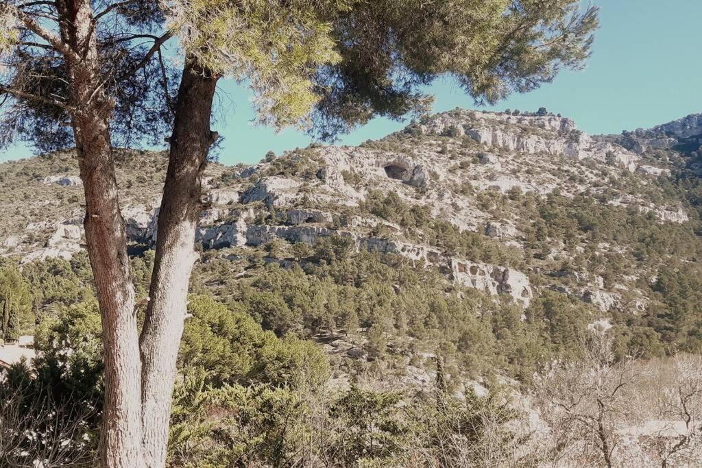 Vue Panoramique Sur Le Chateau,Montagne Et Grottes Fontaine-de-Vaucluse Exterior foto