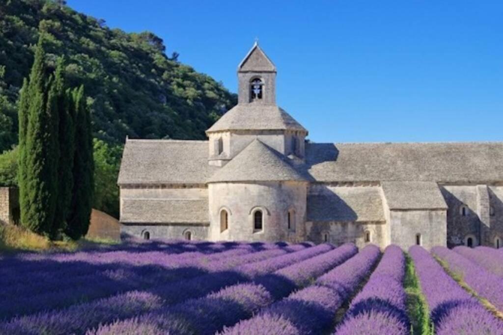 Vue Panoramique Sur Le Chateau,Montagne Et Grottes Fontaine-de-Vaucluse Exterior foto